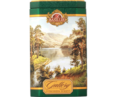 Gallery Collection - Evergreen Forest - Pure Ceylon Green Tea